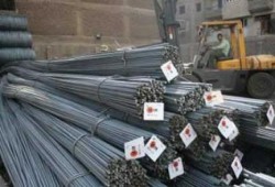 نشطاء يدشنون حمله شعبية لاسترداد شركة عز وعدم نهب الاموال