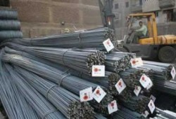 نشطاء يدشنون حمله شعبية لاسترداد شركة عز وعدم نهب الاموال