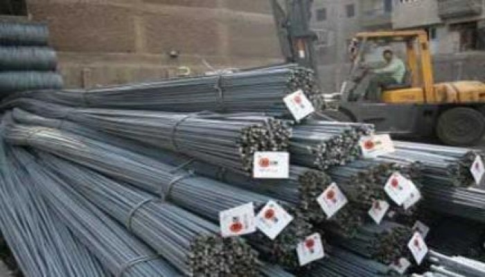 نشطاء يدشنون حمله شعبية لاسترداد شركة عز وعدم نهب الاموال