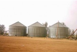 حكومة الانقلاب تتسبب في تكدس شاحنات القمح بصوامع إدفو