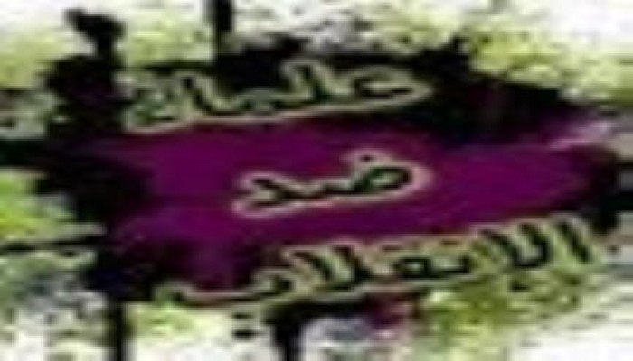 "علماء ضد الانقلاب" تثمن وحدة الثوار وإعلان مبادئهم