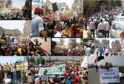 صورة من حصاد المسيرات الصباحية في بداية أسبوع باطل_مايحكمش ..