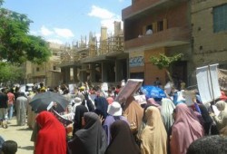 تقرير شامل عن فعاليات محافظة القليوبية