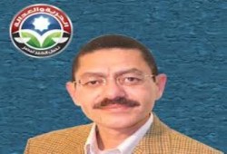 د. رفيق حبيب :الانقلاب يقوى البنية التحتية لجماعة الإخوان !