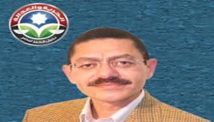 د. رفيق حبيب :الانقلاب يقوى البنية التحتية لجماعة الإخوان !