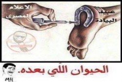 صورة وتعليق