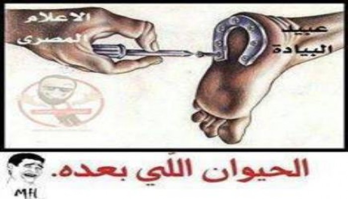 صورة وتعليق
