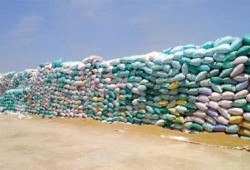 إهدار 20 ألف طن قمح بسبب قرار لوزير الزراعة الانقلابي