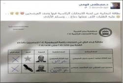 صورة من مشاركات المصريين في انتخابات الخارج