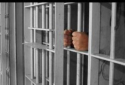 89 سنة لـ 19 من رافضي الانقلاب بالشرقية