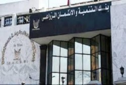 بنك التنمية والائتمان الزراعي بالإسكندرية يرفض تسلم أطنان القمح من المزارعين