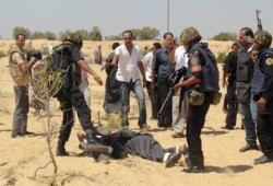 حصاد العمليات الامنية لمليشيات السيسى بسيناء ليوم السبت 17 مايو
