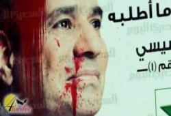 بالفيديو   صوتى خيانة  لمقاطعة انتخابات الدم