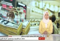 الدولار يحقق ارتفاع تاريخي أمام الجنيه المصري بالمعاملات الرسمية ويتخطى 7.16 جنيه (فيديو)