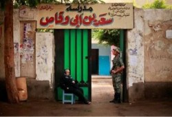 إعلام الانقلاب.. يتوسل للمشاركة بالانتخابات (فيديو)