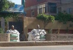 الاعلامية آيات العرابي: مسرحية الانتخابات بداية نهاية العسكر