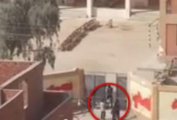 بالفيديو.. محافظ بني سويف الانقلابي: عدد الأطفال أمام اللجان كانوا أكثر من الناخبين