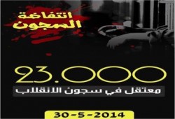 " انتفاضة السجون " رسالة من المغيبون خلف الأسوار في مصر إلى العالم