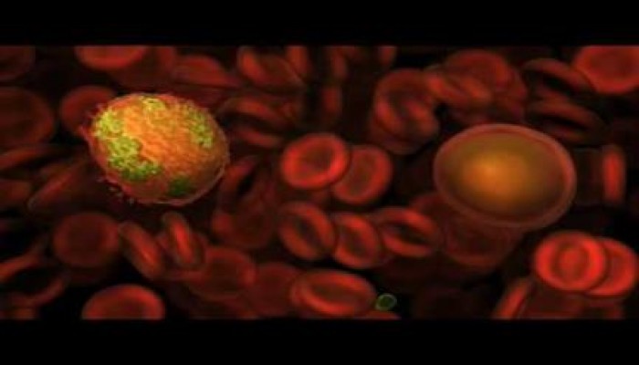 "نحس السيسي": الملاريا تضرب أسوان 11 مصاب و561 اشتباه فى قرية واحدة