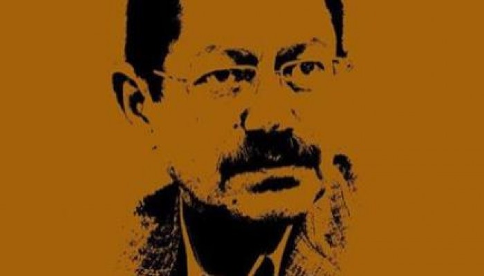 د. رفيق حبيب: تزييف هوية مصر.. مخطط الحكم العسكري