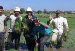 صورة وتعليق