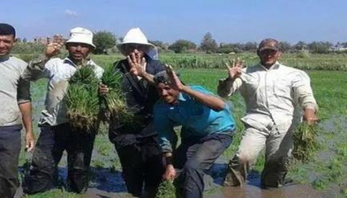 صورة وتعليق