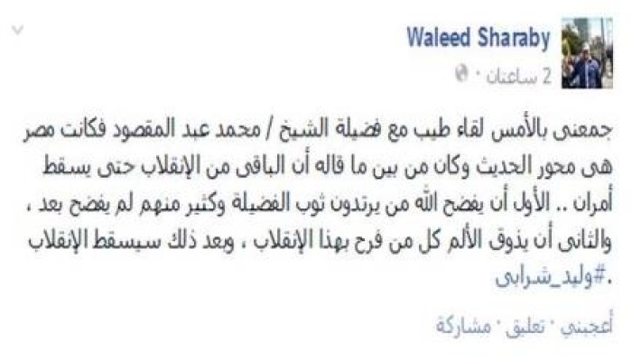 "وليد شرابي": بهذين الأمرين سيسقط الانقلاب