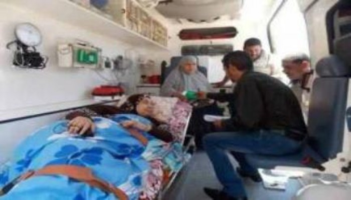 باحثة سياسية: الانقلاب انشغل بتنصيب قائده رئيسا فيما الملاريا تضرب أسوان