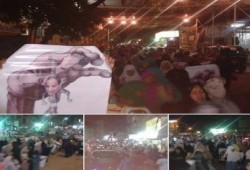 القليوبية - بالصور : شبرا الخيمة تواصل فعاليتها في اسبوع الحرية لمصر