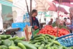 ارتفاع أسعار البطاطس والخيار بنسبة 40% بسوق العبور