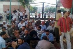 استمرار اعتصام عمال "السويس للنترات" لليوم الـ 20 على التوالي