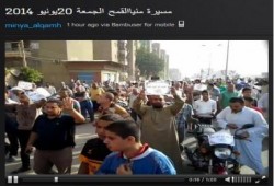 مسيرة صباحية حاشدة لثوار مينيا القمح في جمعة "مصر مش معسكر"