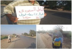 الاسماعيلية - بالصور : سلسلة بشرية صباحية تحت شعار "العاهل السعودي خد السيسي معاه فوق"