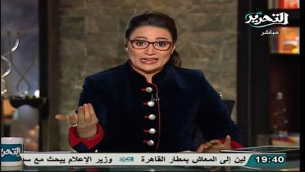 قناة التحرير الانقلابية تصفع رانيا بدوي بعد مشادة السفيرالأثيوبي في برنامجها