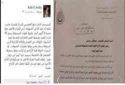 مفاجأة بالمستندات..«قطب العربى»: السيسى أضاع على الدولة المليارات