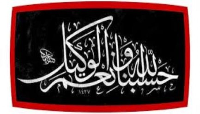 الدكتور محمد عباس يكتب "مصر اليتيمة"