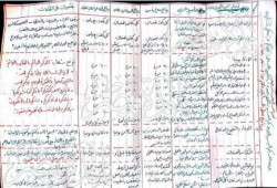 وصيه من الدكتور صلاح سلطان "لإخوانه وتلاميذه وللمسلمين" من محبسه