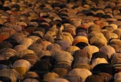 قصيدة "  في رابعة "