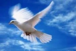 افتحوا نوافذ الحرية...!؟