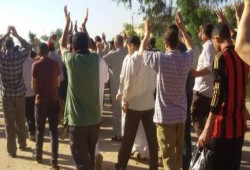 دسوق تنتفض صباح مساء وشعارها الثورة مستمرة حتى تعود مصر حرة