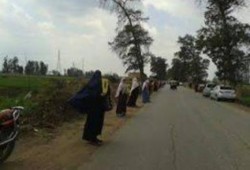 سلسلة بـ" بركة السبع " بالمنوفية ضمن فعاليات يوم الغضب