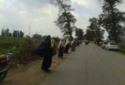 سلسلة بـ" بركة السبع " بالمنوفية ضمن فعاليات يوم الغضب