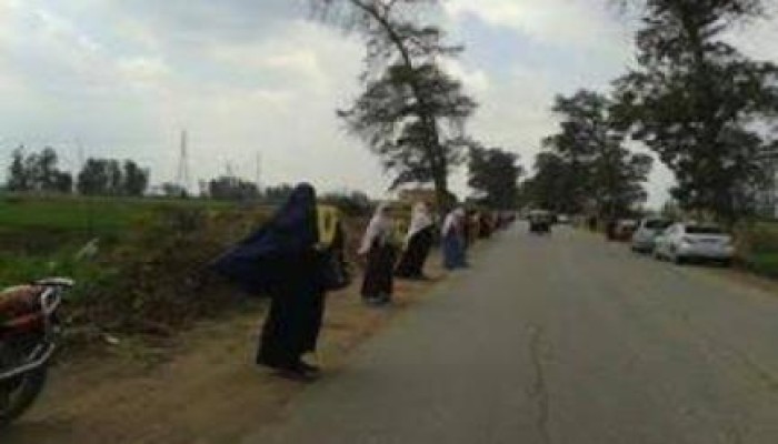 سلسلة بـ" بركة السبع " بالمنوفية ضمن فعاليات يوم الغضب