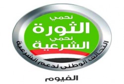 بيان هام من تحالف دعم الشرعية بالفيوم