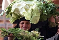 حماية المستهلك: رفع سعر الوقود والكهرباء يرفع الأسعار ضعفين