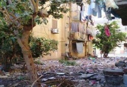 بالصور : مستشفى الصدر بالمنزلة دقهلية مقلب قمامة .. ومجلس المدينة والصحة فى نوم عميق !!
