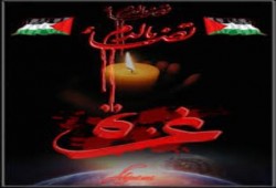 ملخص لما يجري في غزة حتي الآن