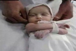 الكاتب الصحفي أحمد عطوان يكتب : هناك ثوابت دينية ووطنية وسياسية