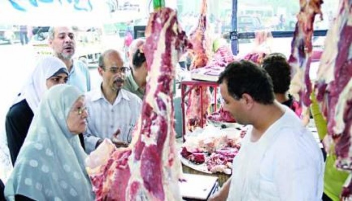 في عهد السفاح خبير بيطري: كيلو اللحم سيصل إلى 100 جنيه