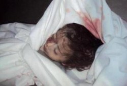 أكثر من 80 شهيداً جراء العدوان علي غزة وإغلاق معبر رفح